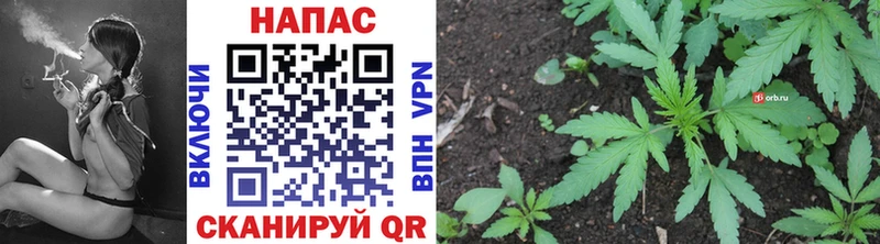 Бошки Шишки MAZAR  Лиски 